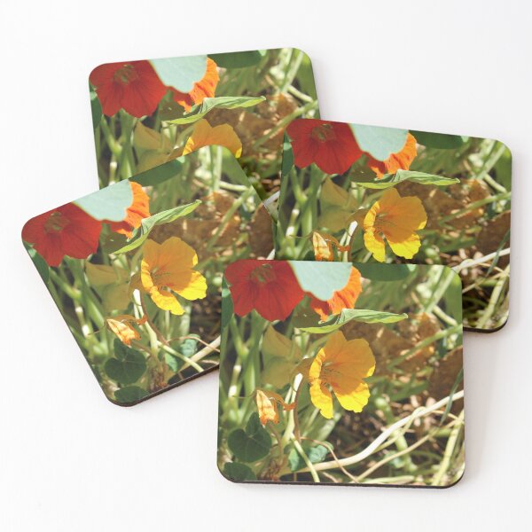 Item preview, Garden nasturtium designed and sold by McFleur's Lens.