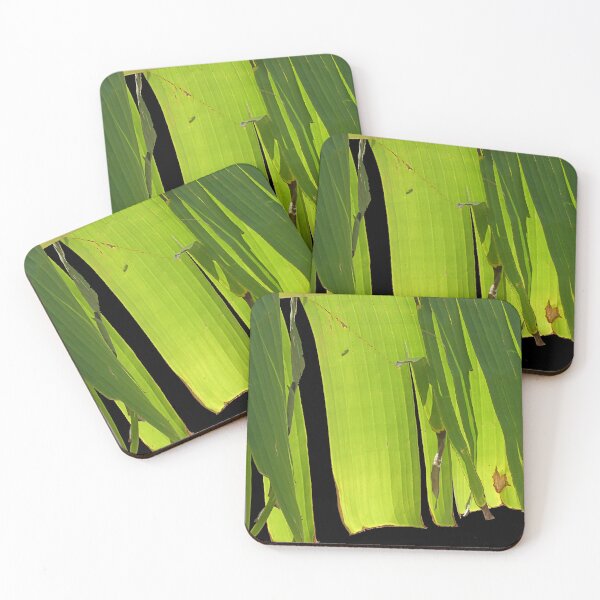 Item preview, The ragged edge designed and sold by Paul Pasco.