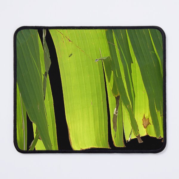Item preview, The ragged edge designed and sold by Paul Pasco.