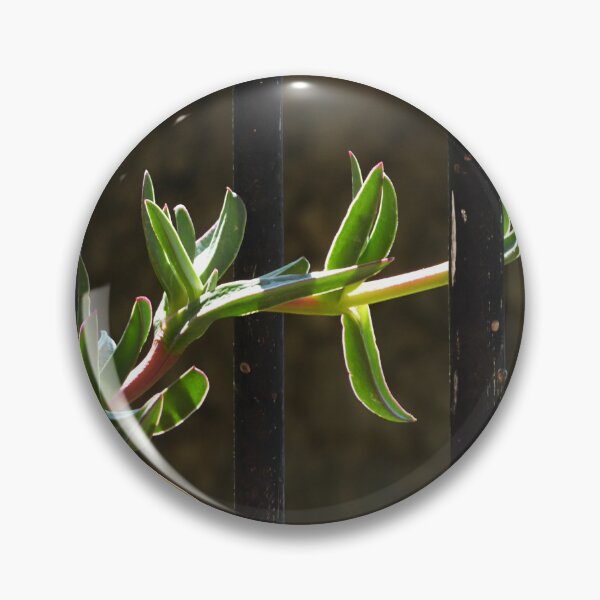 Item preview, Entwined. designed and sold by Paul Pasco.