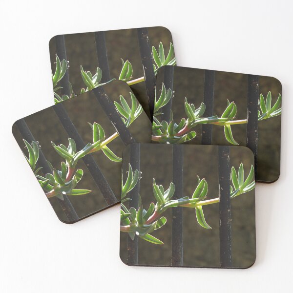 Item preview, Entwined. designed and sold by Paul Pasco.
