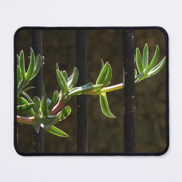 Item preview, Entwined. designed and sold by Paul Pasco.