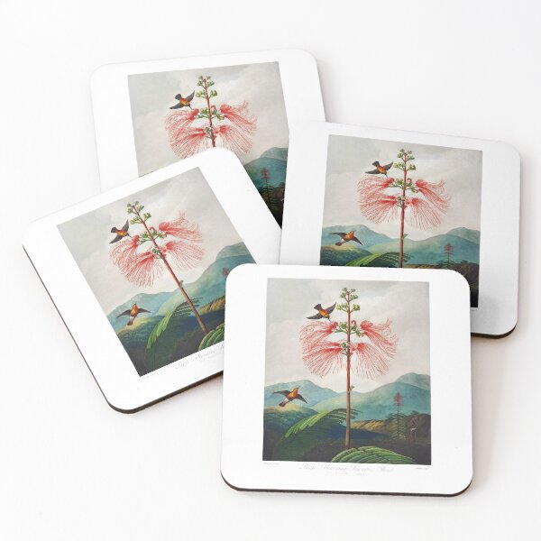 Item preview, Large–Flowering Sensitive Plant from The Temple of Flora   by Robert John Thornton designed and sold by TeeARTHY.