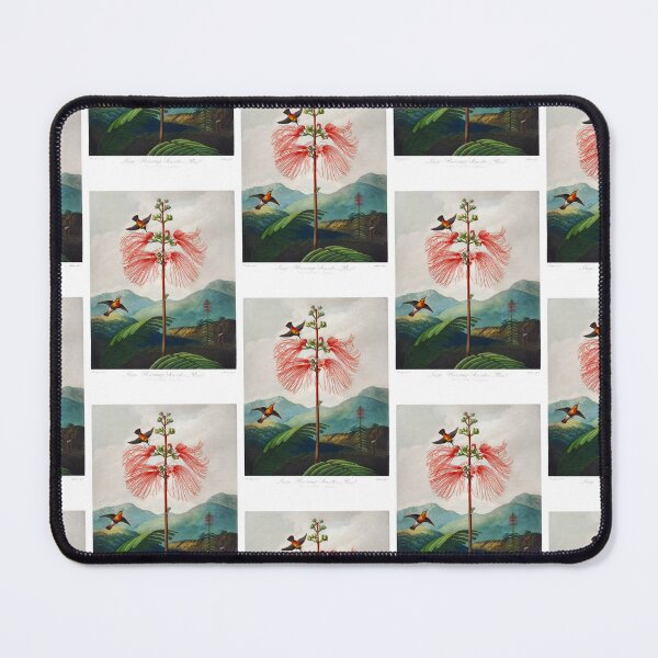Item preview, Large–Flowering Sensitive Plant from The Temple of Flora   by Robert John Thornton designed and sold by TeeARTHY.
