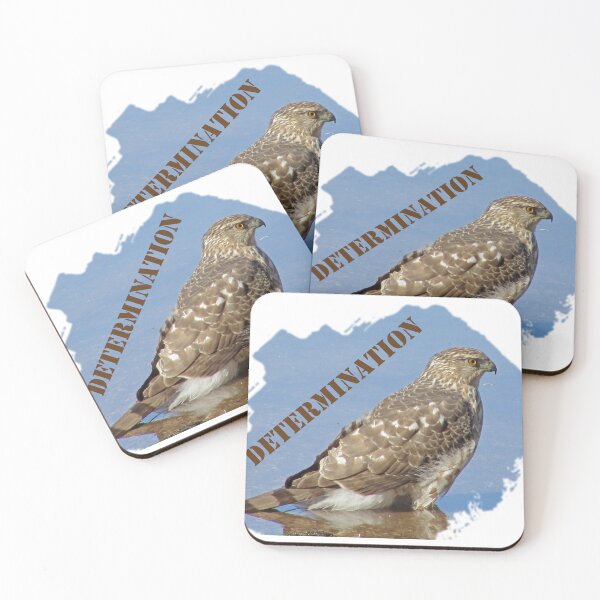 Item preview, Determination Hawk Intense Bird Blue Water designed and sold by natureinfocus.
