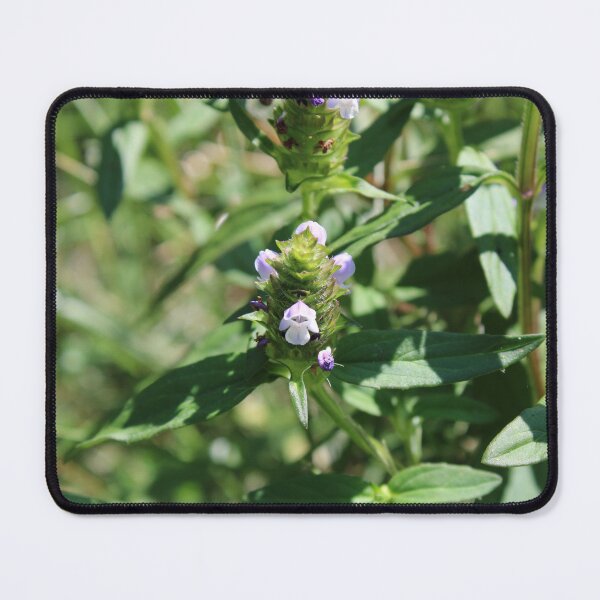 Item preview, heal-all flower  designed and sold by McFleur's Lens.