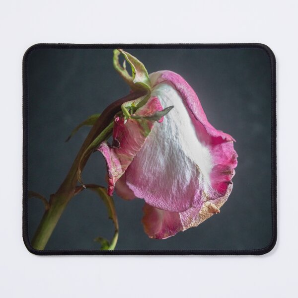 Item preview, Wilted Dried Red Roses X214 designed and sold by RichFrancoCars.