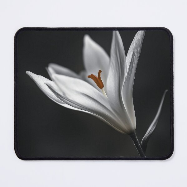 Item preview, Nature details | Inner Fire designed and sold by Pasiaulis-art.