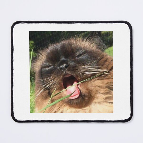 Item preview, Funny cat eating grass designed and sold by Ratcatdoggg.