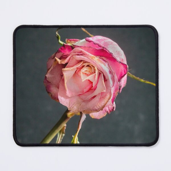 Item preview, Wilted Dried Red Roses X219 designed and sold by RichFrancoCars.