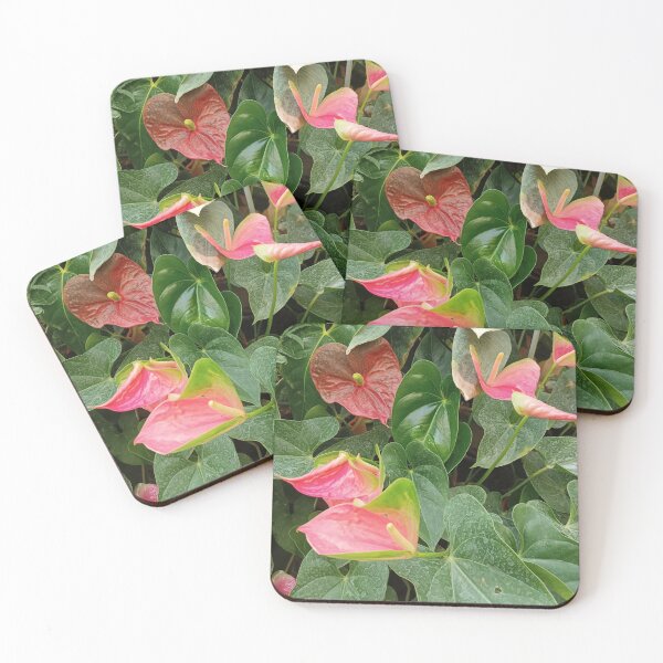 Item preview, flower, exotic flower, pink flowers designed and sold by colorgallery11.