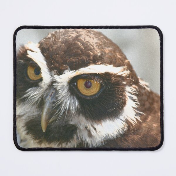 Item preview, Spectacled Owl designed and sold by RedHillDigital.