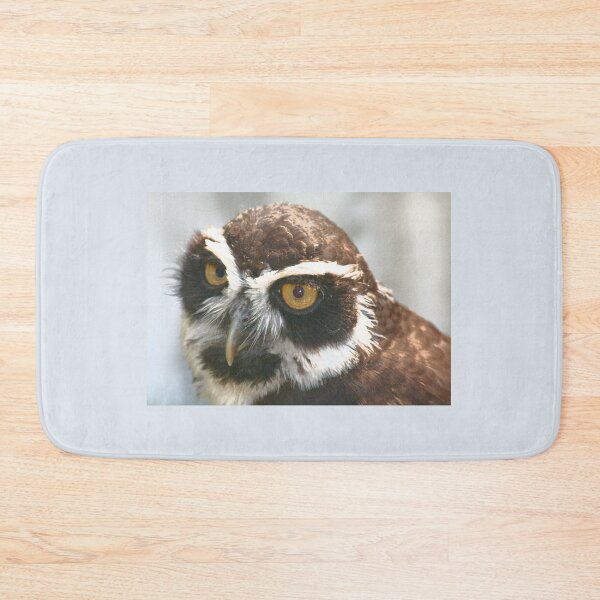 Item preview, Spectacled Owl designed and sold by RedHillDigital.