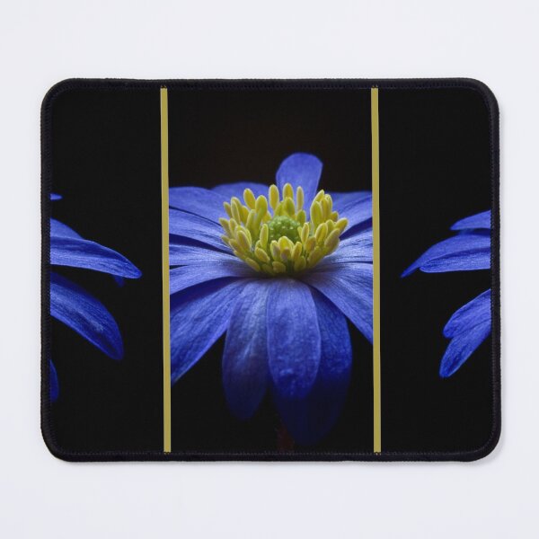 Item preview, Blue Grecian Windflower designed and sold by James DeFazio.