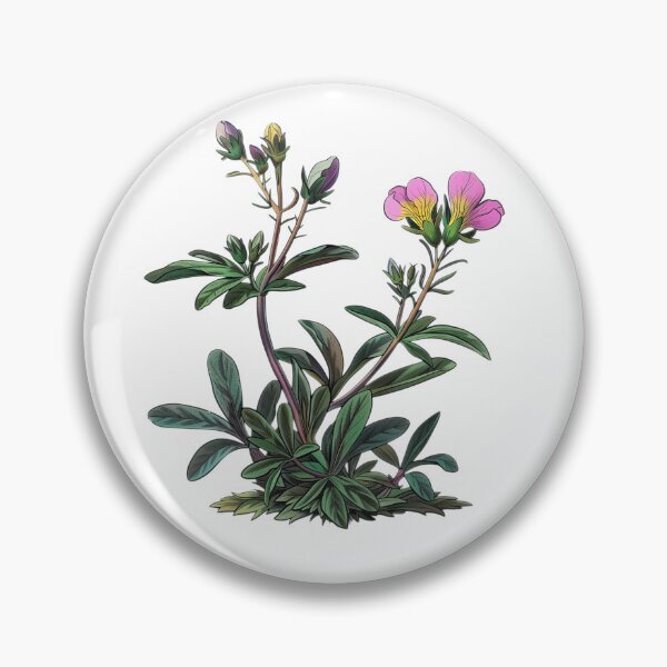 Item preview, Alpine Rose Botanical Illustration designed and sold by Artcurrents.