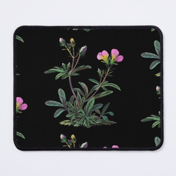 Item preview, Alpine Rose Botanical Illustration designed and sold by Artcurrents.