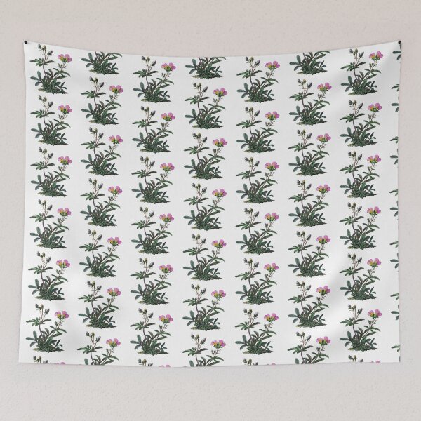Item preview, Alpine Rose Botanical Illustration designed and sold by Artcurrents.