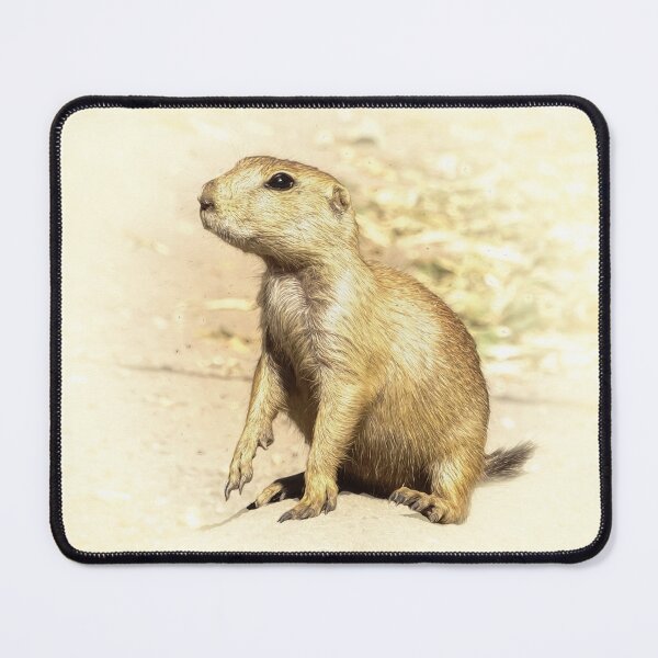 Item preview, Prairie dog designed and sold by Guardi71.