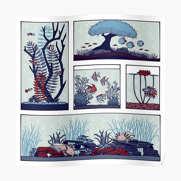 Aquascape Posters | Redbubble