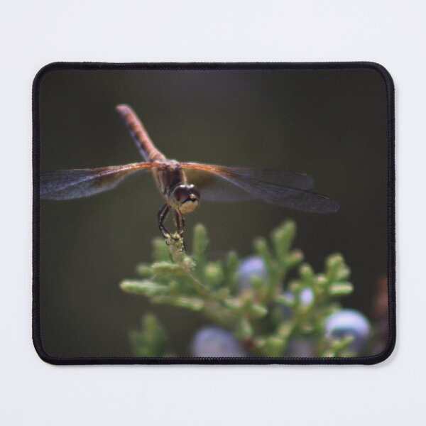 Item preview, Dragonfly on a Juniper Tree designed and sold by Flint Miller.