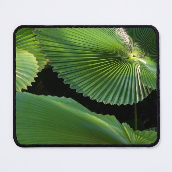 Item preview, Radial Charm (Licuala Cordata Palm, FNQ) designed and sold by Kerryn Madsen-Pietsch.