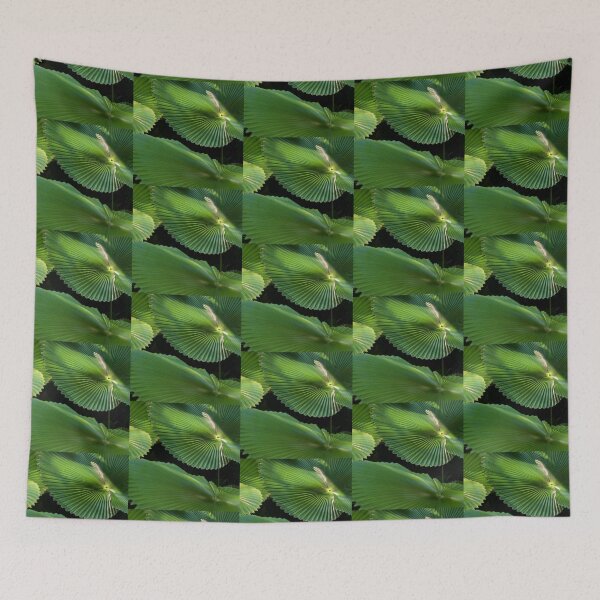 Item preview, Radial Charm (Licuala Cordata Palm, FNQ)  designed and sold by Kerryn Madsen-Pietsch.