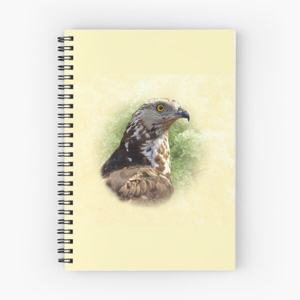 Item preview, Honey buzzard designed and sold by Guardi71.