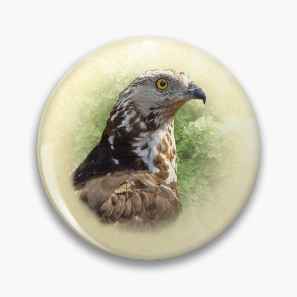 Item preview, Honey buzzard designed and sold by Guardi71.