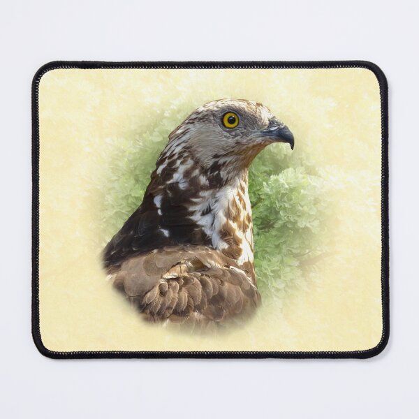 Item preview, Honey buzzard designed and sold by Guardi71.