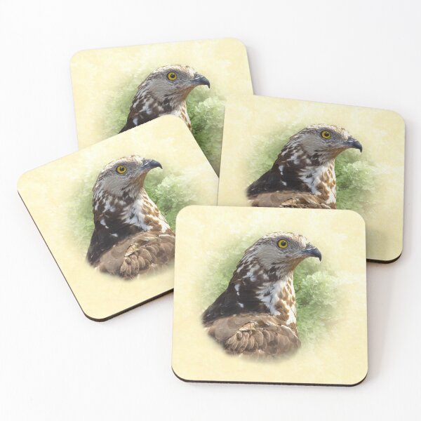 Item preview, Honey buzzard designed and sold by Guardi71.
