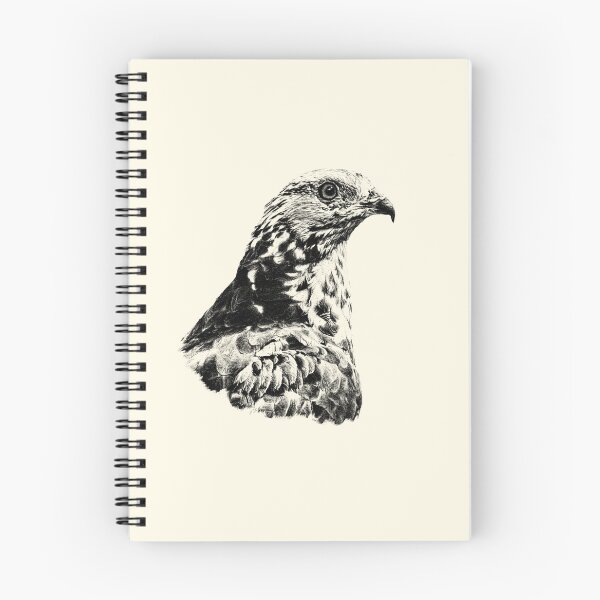Item preview, Honey buzzard designed and sold by Guardi71.