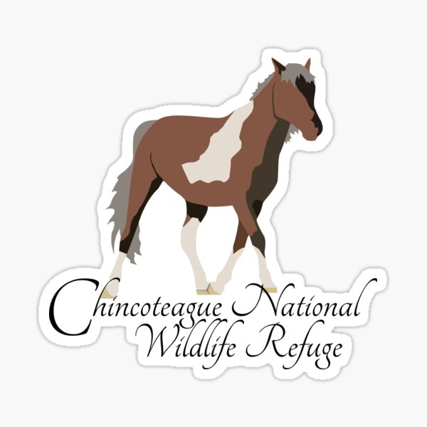 Item preview, Chincoteague National Wildlife Refuge Wild Pony Image designed and sold by laughingwillows.