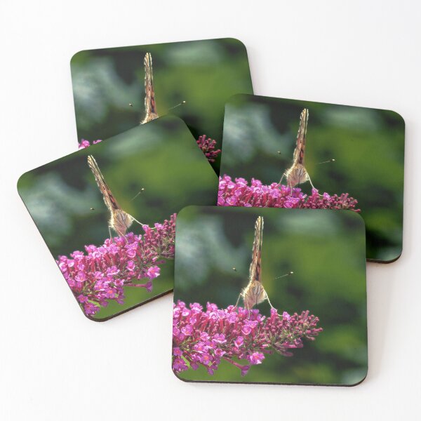 Item preview, Butterfly on Buddleja designed and sold by Tom McPherson Photography.