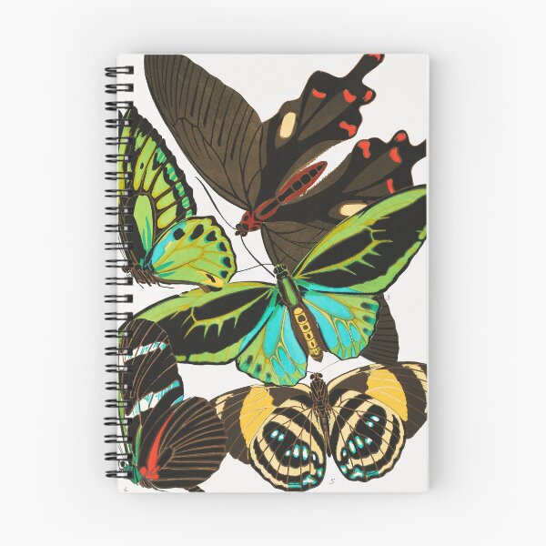 Item preview, Butterflies III designed and sold by ncbennett.
