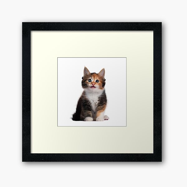 Item preview, Little Cute Cats designed and sold by YouNickUe.