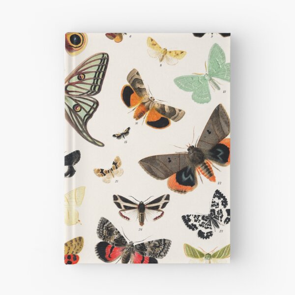 Item preview, Butterflies 1V designed and sold by ncbennett.