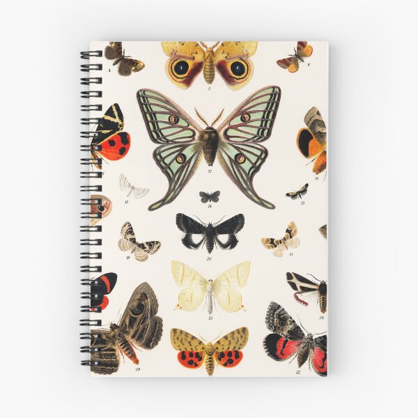 Item preview, Butterflies 1V designed and sold by ncbennett.