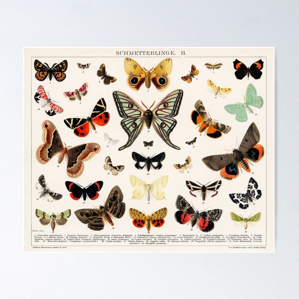Item preview, Butterflies 1V designed and sold by ncbennett.