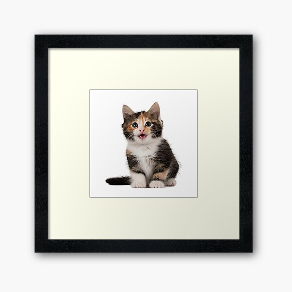 Item preview, Little Cute Cats 2 designed and sold by YouNickUe.