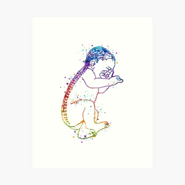Item preview, Baby Spine Anatomy Watercolor Artwork designed and sold by LotusGifts.