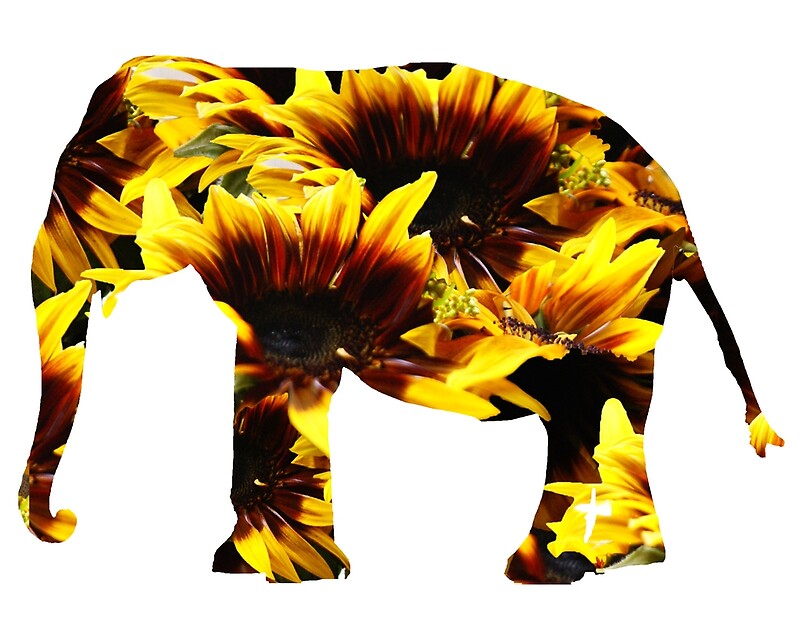 "Sunflower Elephant" by Allison Pollock Redbubble
