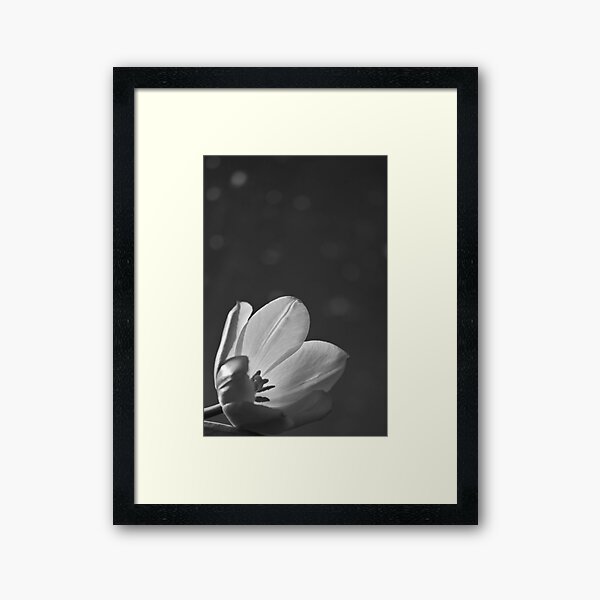 Vista previa del artículo con la obra «Desterrar todos los recuerdos (mono)», diseñado y vendido por Denise Abé.