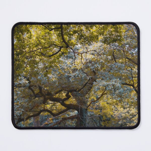 Item preview, Sunlight Glow designed and sold by Christine Lake.
