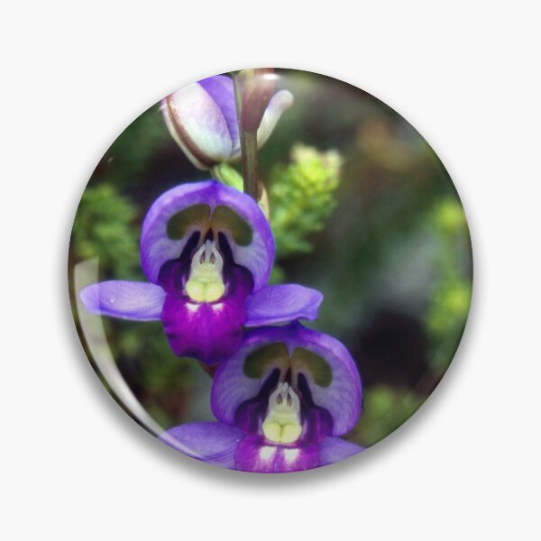 Item preview, Disa graminifolia orchid species South Africa designed and sold by Henkjv.