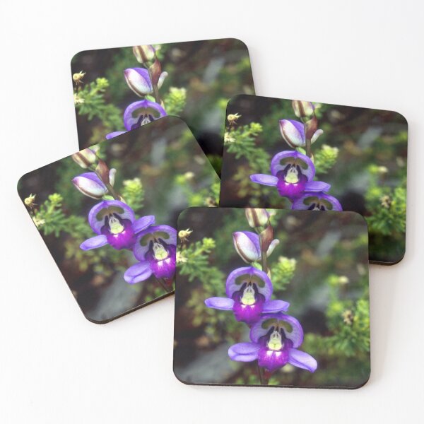 Item preview, Disa graminifolia orchid species South Africa designed and sold by Henkjv.