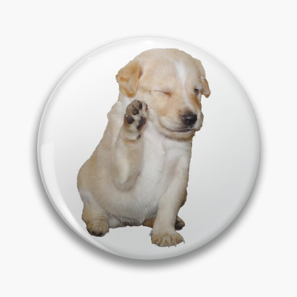 Item preview, Cachorro genial sentado saludando y parpadeando designed and sold by HenryLt4.