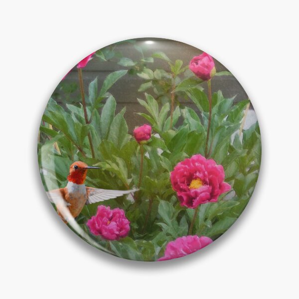 Item preview, fence line begonias designed and sold by R Christopher  Vest.