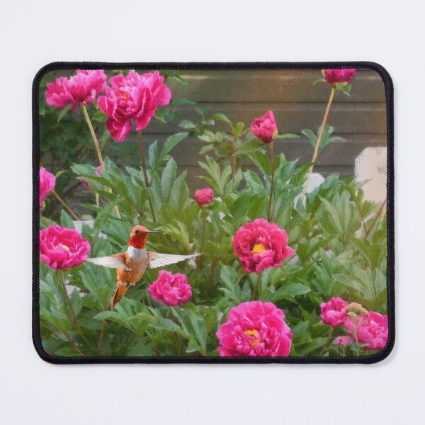 Item preview, fence line begonias designed and sold by R Christopher  Vest.