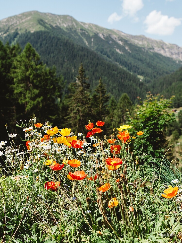 Mountain garden by Hudolin