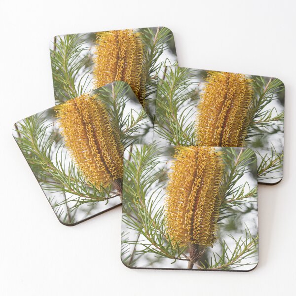Item preview, Western Australian Banksia  designed and sold by Life Images by Jill .